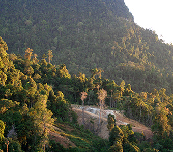 Environmental Policy for Sustainable Development